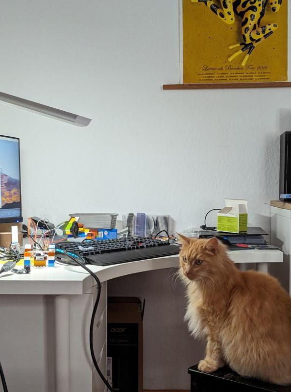 My cat Fussel helping out